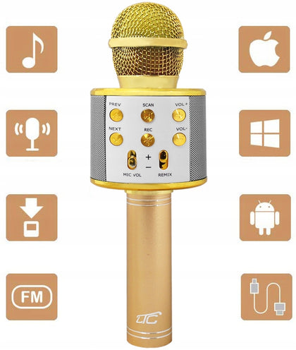 LTC LXMIC100R mikrofonas