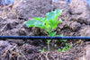 Lašelinė sodo/daržo laistymo sistema