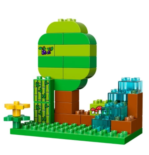 LEGO DUPLO kaladėlės aplink pasaulį 10805 2+