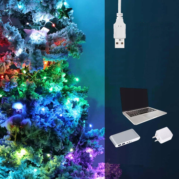Kalėdinės lemputės SMART LED juostelė WIFI TUYA 10m USB