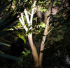 Sodo Apšvietimo stulpelis Garden Lights MR16 18 cm