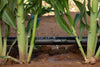 Lašelinė sodo/daržo laistymo sistema